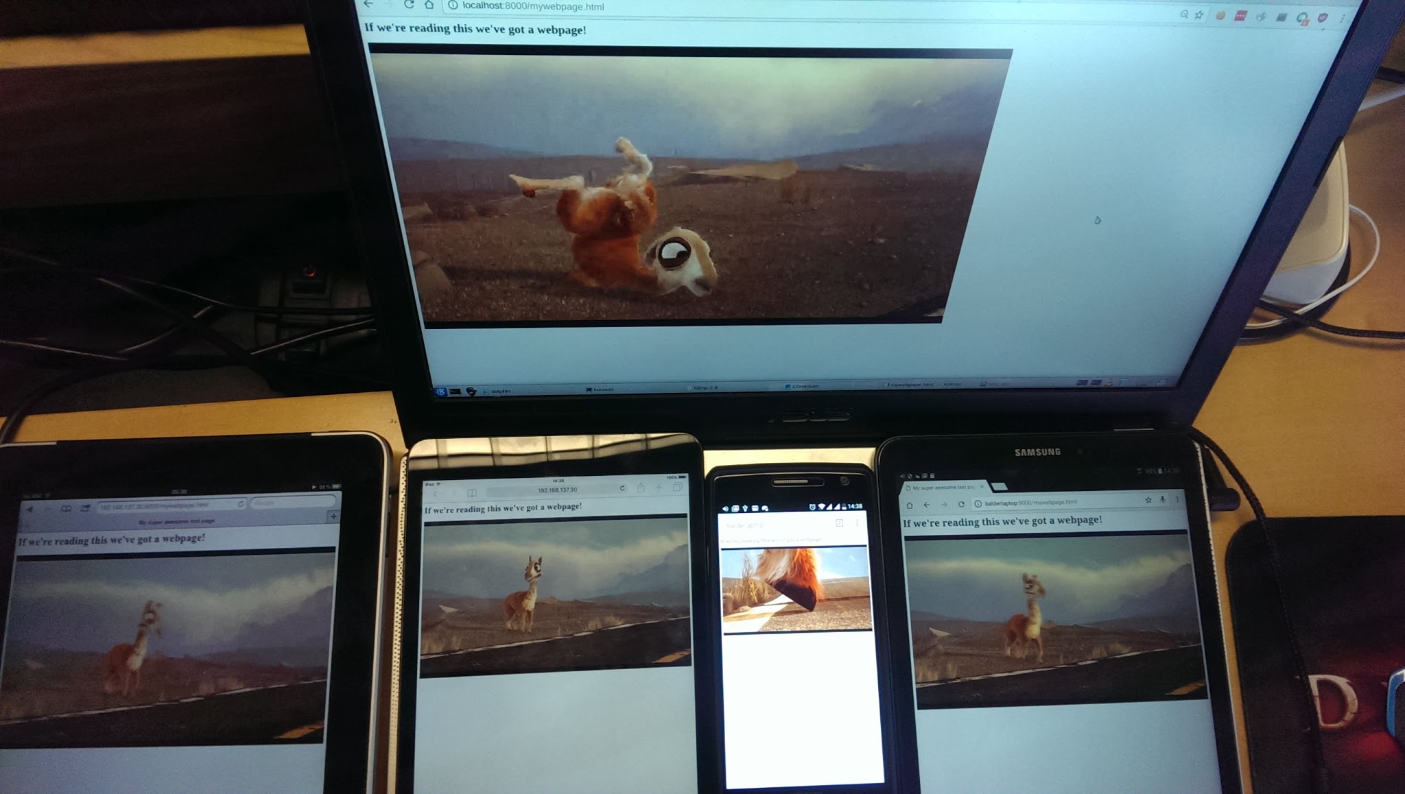Image of video playback on multiple devices
